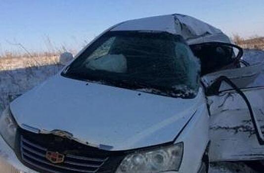 В ДТП с фурой на трассе под Самарой погибла женщина