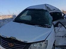 В ДТП с фурой на трассе под Самарой погибла женщина