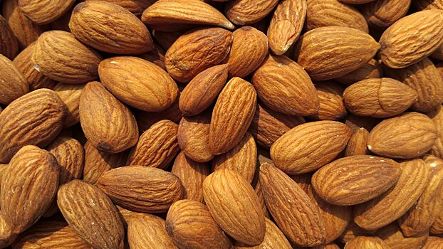 Биолог назвал продукт, который защищает сосуды от бляшек