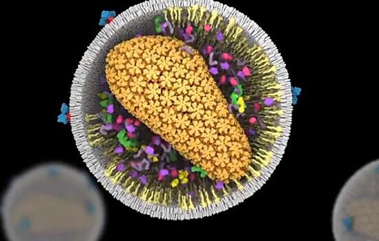 Ученые визуализировали процесс адаптации вируса ВИЧ в организме