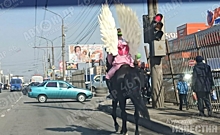 В Курске раскрыт секрет Розового ангела на лошади из соцсетей