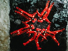 Туризм в Мурманской области нуждается в стандартах и контроле