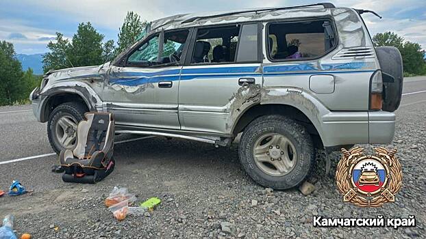 Девятилетняя девочка погибла и еще пять детей пострадали в ДТП в Камчатском крае