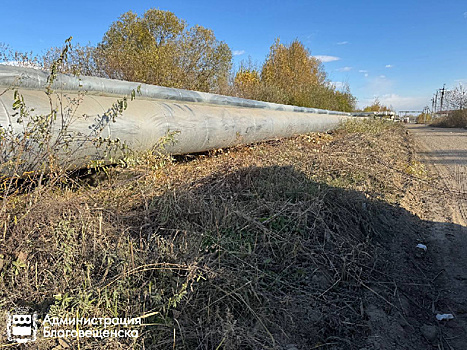 В Благовещенске компанию оштрафовали за нескошенную у трубопровода траву