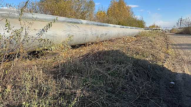 В Благовещенске компанию оштрафовали за нескошенную у трубопровода траву