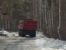 Виновных в складировании снега на территории челябинского бора поймают в апреле?