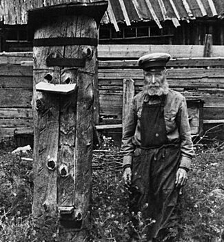 Самый лучший мед России: где его собирают