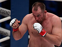 Российский боец победил на турнире UFC 224