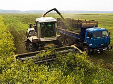 Производство продукции АПК в России в 2024 году снизилось на 3,2%