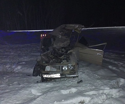 В Новосибирской области на трассе три человека погибли в ДТП с грузовиком