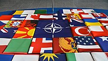 Журналист рассказал, что последует за строительством полигона НАТО в Литве