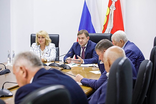 Воронежские парламентарии помогают участникам СВО и их семьям