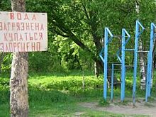 Нефтяные реки, мусорные берега. В Петербурге нет абсолютно чистых водоемов