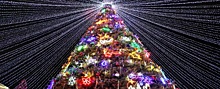 Бизнесмены Екатеринбурга проведут аукцион и соберут деньги на покупку городской новогодней елки