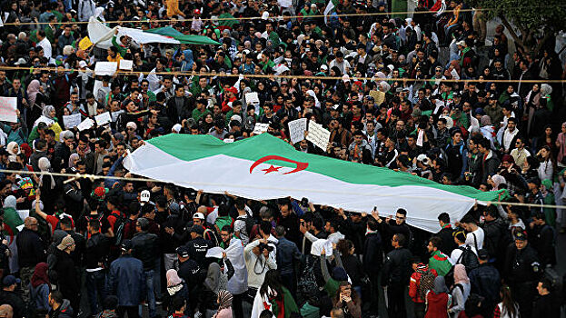Алжир отметил годовщину протестов очередными протестами