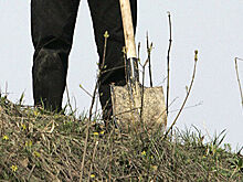 Не поверил: россиянин раскопал могилу возлюбленной