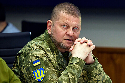 Генерал ВСУ предложил выдвинуть Залужного в президенты Украины