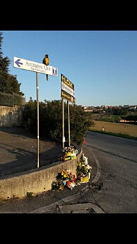 В Италии погиб титулованный велогонщик