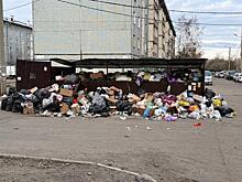 В Чите 1-й микрорайон вновь зарастает мусором