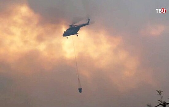 Пожар на бывшем полигоне в Удмуртии потушен