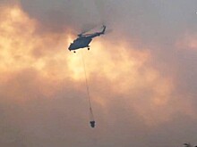 Пожар на бывшем полигоне в Удмуртии потушен