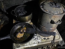 В Приамурье в пожаре погибла пожилая женщина
