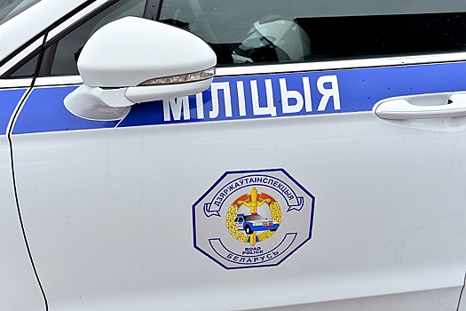 Минск: Не менее 13 спецподразделений МВД создано в стране