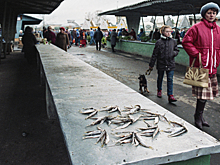 Рынки, барахолки и толкучки: где закупились люди в СССР