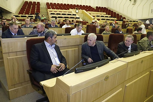 Новосибирцы из проекта "В одной команде со СВОими" встретились с депутатами