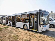 Владельца самарского "АвтоМАЗа" будут судить из-за махинаций на 560 млн руб. с автобусами