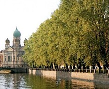 В Петербурге будут сажать больше деревьев