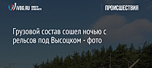 Сошедший с рельсов поезд в Ленинградской области подняли на пути