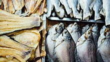Названо последствие запуска продаж рыбы на бирже