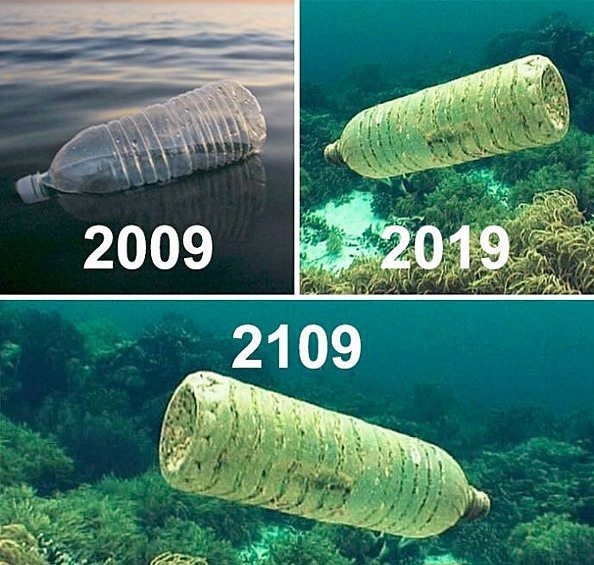 Некоторые из мемов - не только ради хохмы. К сожалению, проблема загрязнения мирового океана действительно стоит остро. И каждая выброшенная пластиковая бутылка его засоряет.