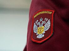 Оренбуржцев предупредили о случаях отравления студнем