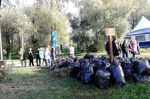 Горожане собрали в Омске 8000 кубометров мусора