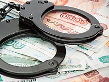 Мужчину и его племянника задержали за серию краж из магазинов в Химках