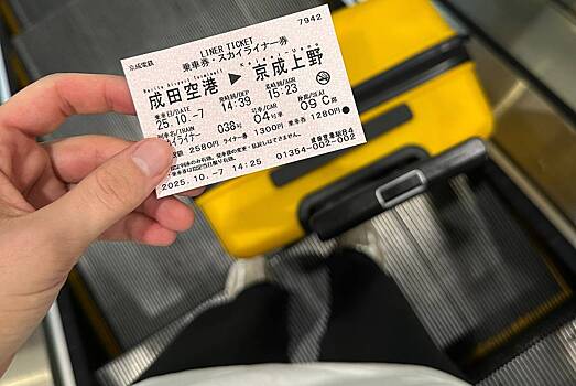 Российская тревел-блогерша побывала в Японии и раскрыла траты на еду в поездке