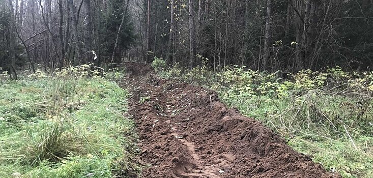 В Октябрьском районе 7 населенных пунктов защитят от лесных пожаров