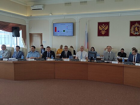 Законодательное собрание Владимирской области поддержало социальную инициативу в адрес детей-сирот