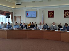 Законодательное собрание Владимирской области поддержало социальную инициативу в адрес детей-сирот