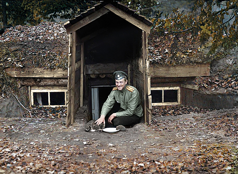 Русский офицер в перерыве между боями поит кошку и ёжика молоком, 1916 год