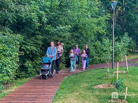 Нижегородские депутаты отказались увеличить маткапитал до 300 000 рублей