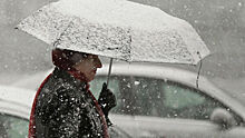 Синоптики: Выпавший утром в Москве снег растает до конца дня