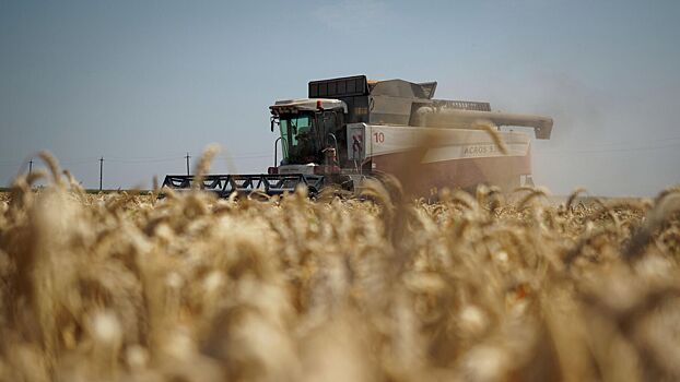На Украине заявили о критической ситуации с будущим урожаем