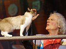 Куклачев рассказал о любви кошек к песням Shaman