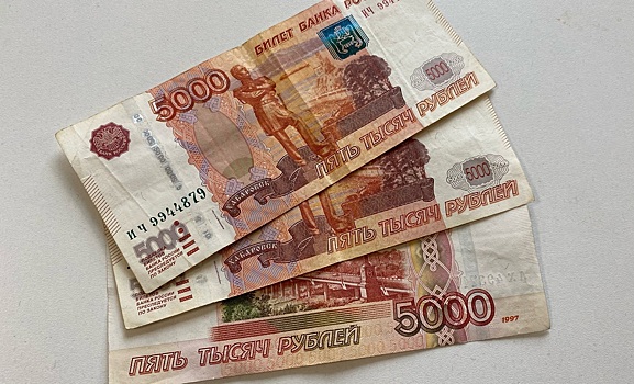 Почти в пять раз сократилось количество выявленных фальшивых денег в Новосибирской области