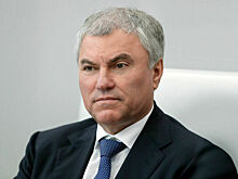 Володин: Закон о штрафах за навязывание услуг защитит права россиян