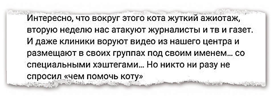 У 40 процентов домашних животных в Москве есть проблемы с лишним весом