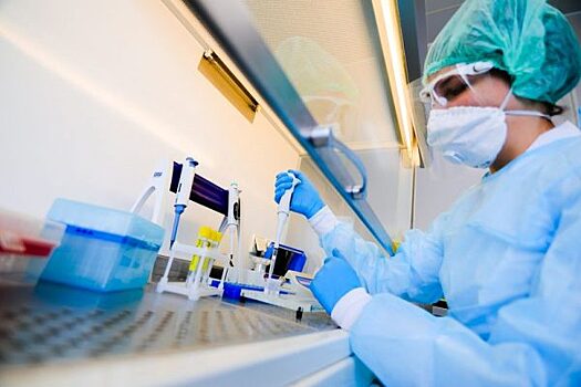 Лаборатория ДНК-диагностики ДВФУ займётся тестированием на коронавирус